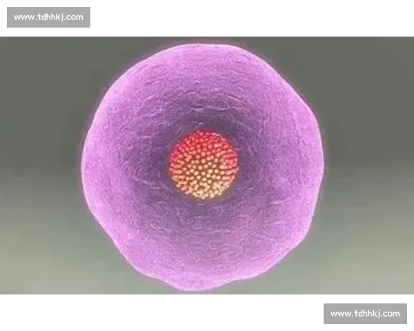 关键节点临近多方博弈推进结果仍有变数待观察走向与影响持续发酵