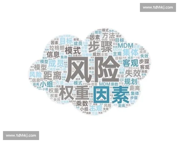 得失分析视角下的决策优化与风险评估策略研究 得失分析视角下的决策优化与风险评估策略研究